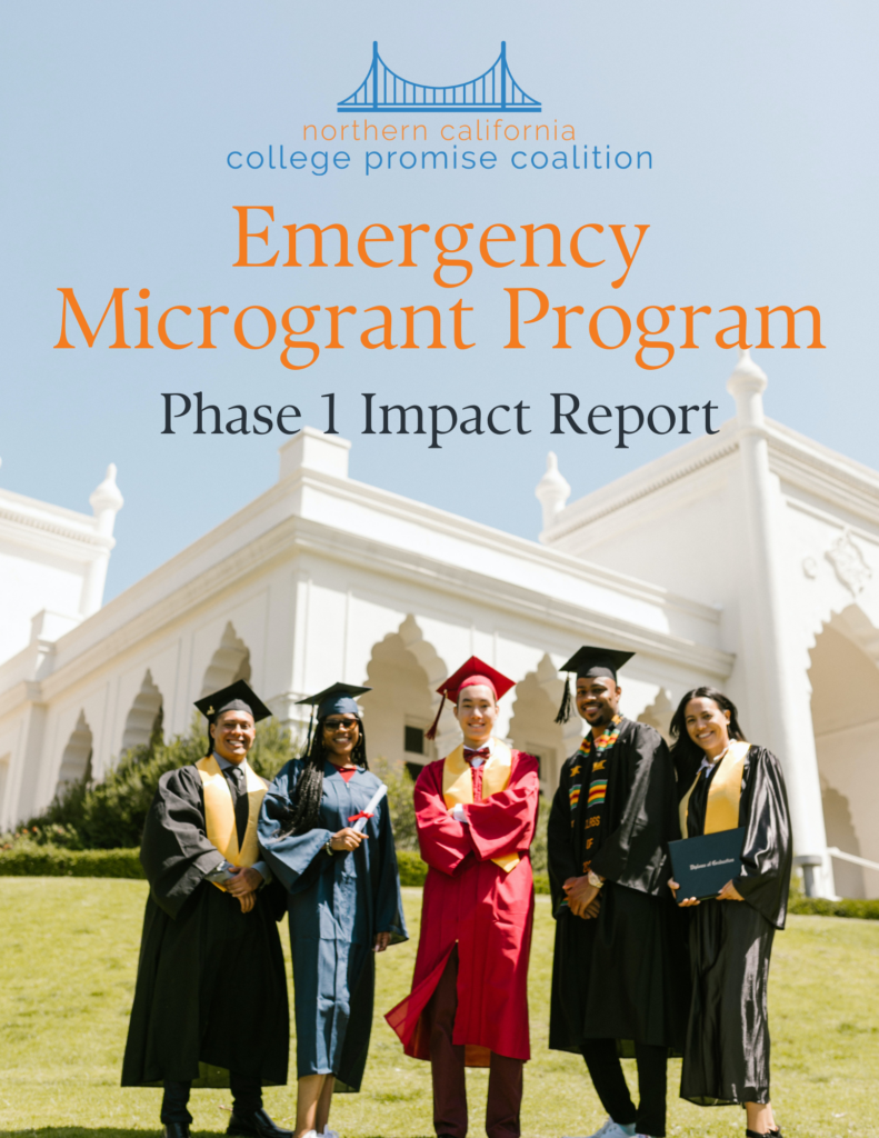 Emerg Microgrants-Impact Report Phase I Cover