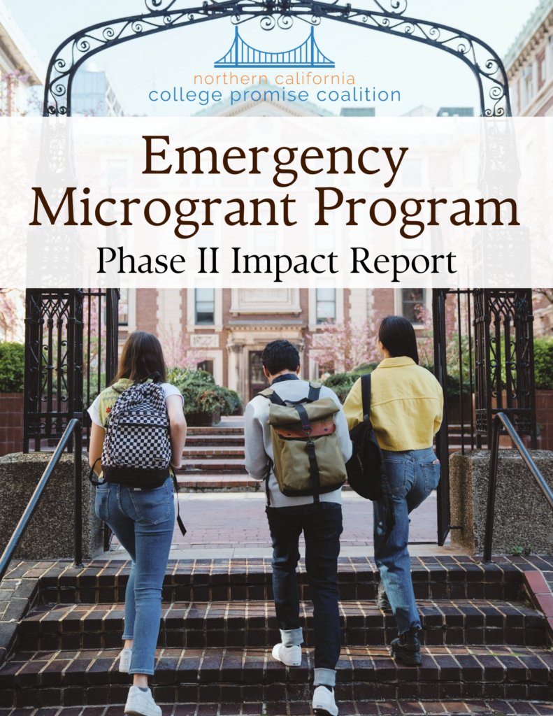 Emerg Microgrants-Impact Report Phase II Cover